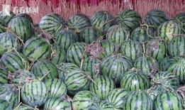 51热门大瓜今日大瓜,今日热点事件大盘点